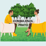 CONSULENZA PRATO