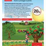 FARINA DI BASALTO TIPO XF (Ammendante fogliare)